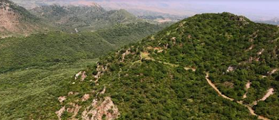 Aravalli Hills: The Silent Guardian of India’s Future