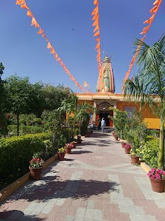 Trusting in God's Plan